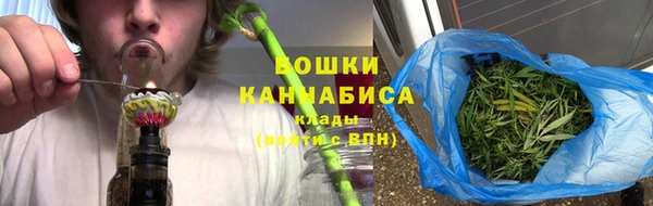 мдпв Ладушкин