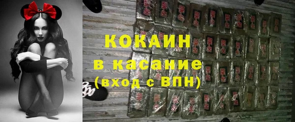 молекула духа Богородск