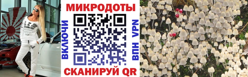 Псилоцибиновые грибы Cubensis  это телеграм  Минеральные Воды  купить  